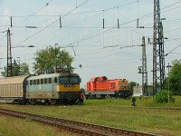 kép