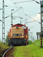 kép