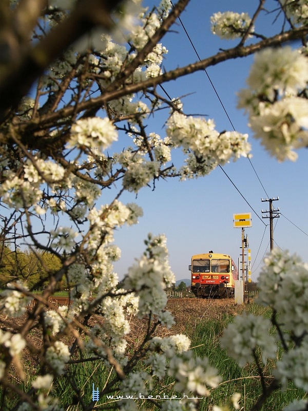 The Bzmot 333 at the foresignal of Ngrd photo