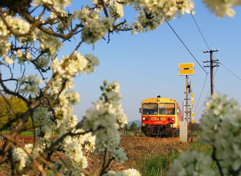 The Bzmot 333 at the foresignal of Ngrd station photo