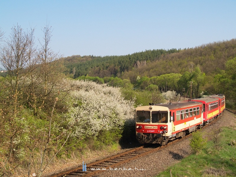 Bzmot 341 Berkenye s Szokolya kztt fot