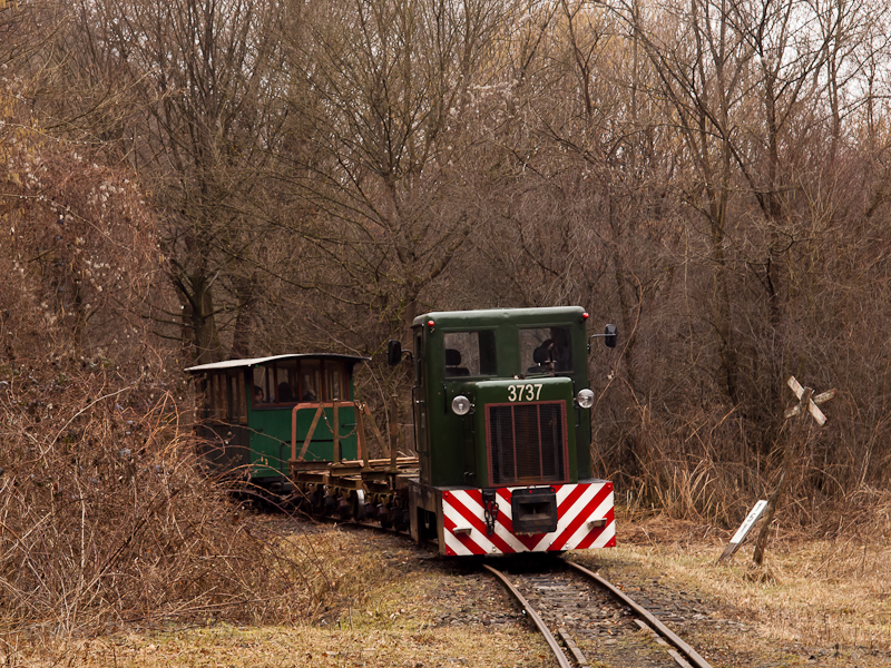 The Nagybrzsnyi Erdei Vast C50 3737 seen between Nagybrzsny and Kisrtspuszta photo