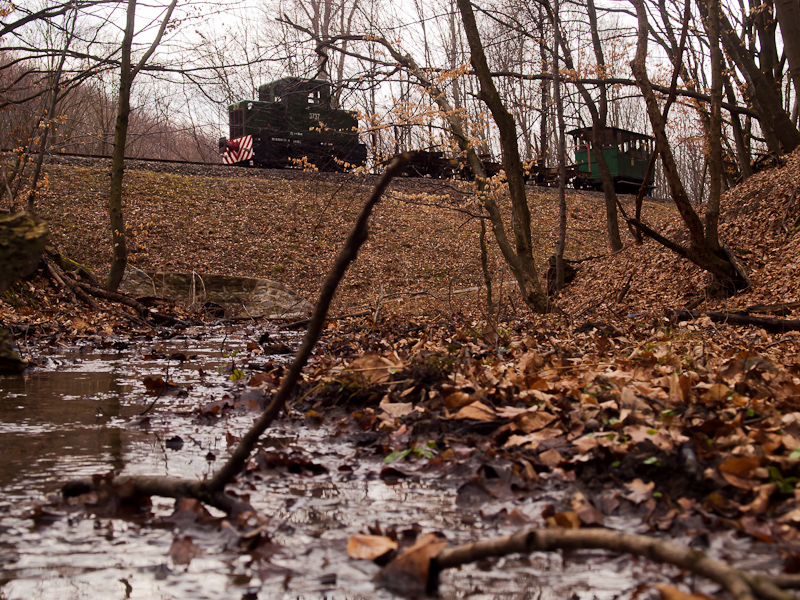 The Nagybrzsnyi Erdei Vast C50 3737 seen between Vetettfű and Fsts forrs photo