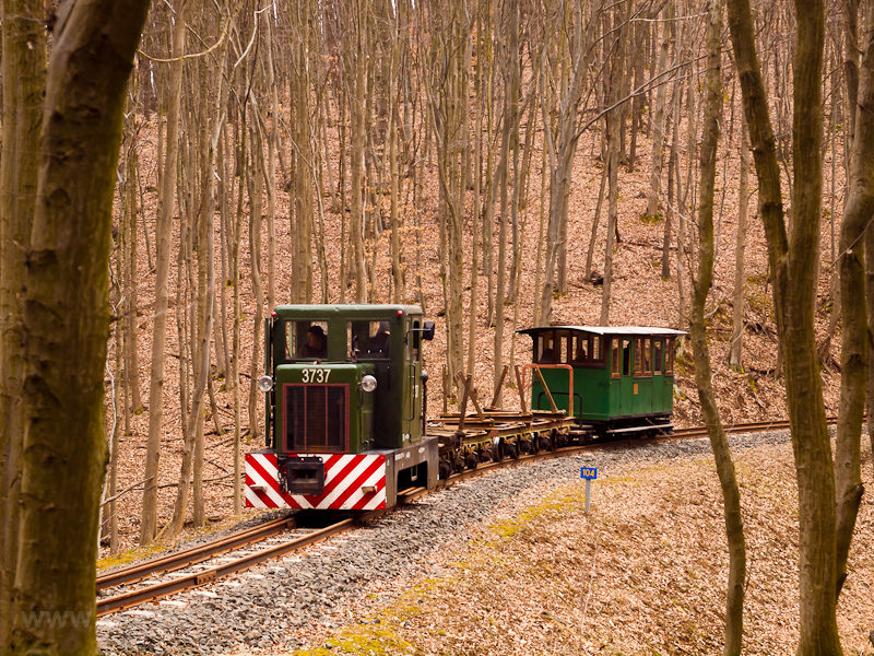 The Nagybrzsnyi Erdei Vast C50 3737 seen between Vetettfű and Fsts forrs photo