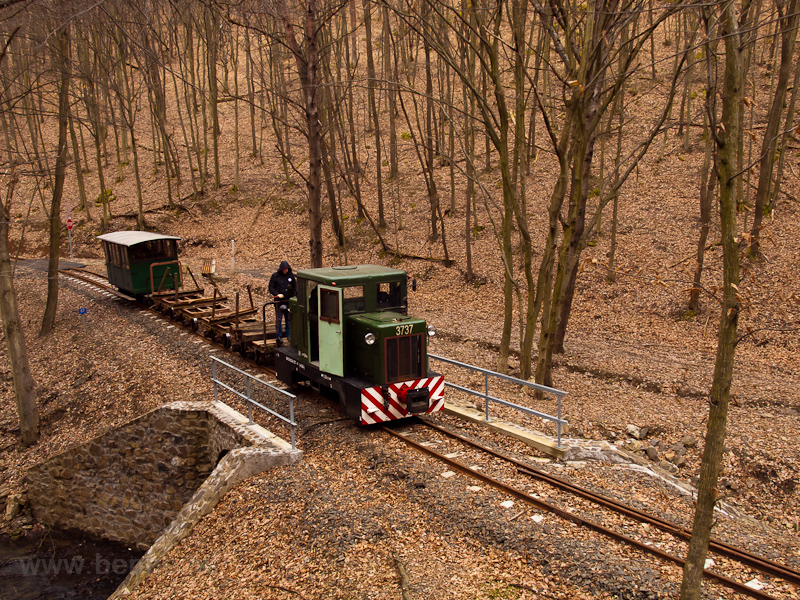 The Nagybrzsnyi Erdei Vast C50 3737 seen between Fsts forrs and Mrianosztra photo