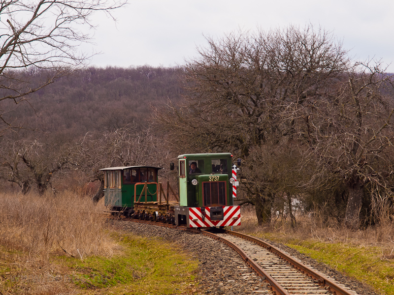 The Nagybrzsnyi Erdei Vas photo