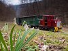 A Felsőtárkányi Erdei Vasút C-04 404 Stimecz-ház és Stimecz-ház kitérő között, előtérben egy hóvirággal