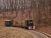 The Nagybrzsnyi Erdei Vast C50 3737 seen between Vetettfű and Fsts forrs