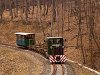 A Nagybörzsönyi Erdei Vasút C50 3737 Vetettfű és Füstös forrás között a Transzbörzsöny nagy szerpentinjén