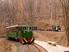 The Nagybrzsnyi Erdei Vast C50 3756 seen between Vetettfű and Fsts forrs