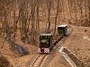 A Nagybörzsönyi Erdei Vasút C50 3737 Füstös forrás és Márianosztra között