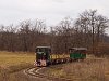 The Nagybrzsnyi Erdei Vast C50 3737 seen between Fsts forrs and Mrianosztra