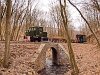 A Nagybörzsönyi Erdei Vasút C50 3737 Márianosztra és Füstös forrás között