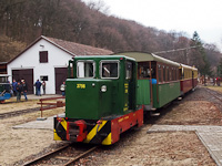 The Nagybrzsnyi Erdei Vast (Nagybrzsny Forest Railway) C50 3756 seen at Nagybrzsny station