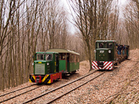 The Nagybrzsnyi Erdei Vast C50 3737 seen at Tolmcs-hegy, cscsfordt