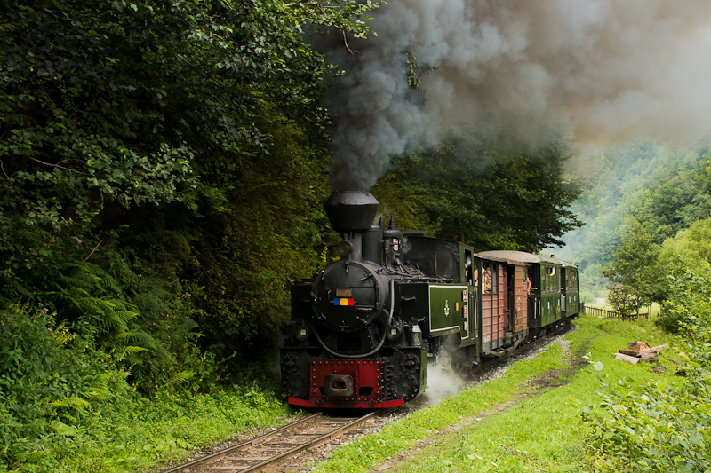 The nameless CFF Viseu 764 469 seen between Valea Scradei and Novat photo