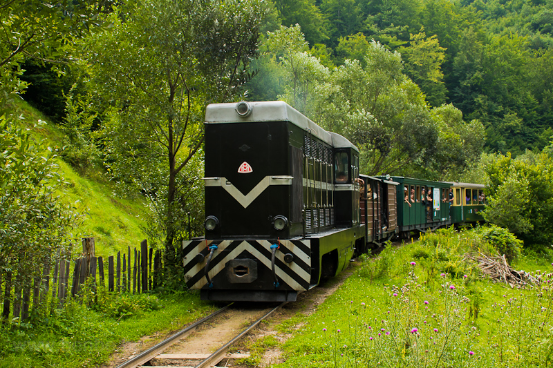 The CFF Viseu L35H 024 seen between Valea Scradei and Novat photo