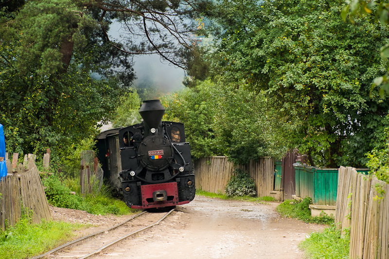 A CFF Viseu / Felsővisi Erdei Vast 764 408 plyaszm  fot