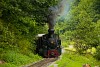 The CFF Viseu 764-469 seen between Valea Scradei and Novat