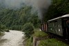 The CFF Viseu 764 469 seen between Valea Scradei and Novat