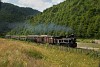 A CFF Viseu 764 449 <q>Cozia-2</q> Valea Scradei s Novat kztt, dubval, rgi kocsival, Wengernalpbahn-kocsikkal s nyitott kocsikkal