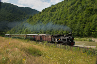 A CFF Viseu 764 449 <q>Cozia-2</q> Valea Scradei s Novat kztt, dubval, rgi kocsival, Wengernalpbahn-kocsikkal s nyitott kocsikkal