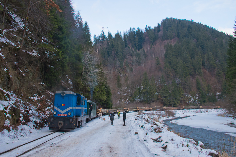 The loaded logging freight  picture