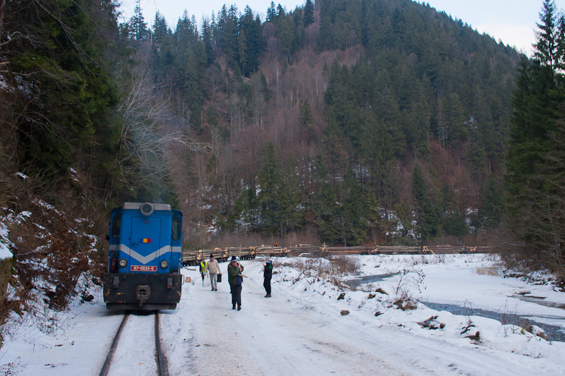 The loaded logging freight  photo