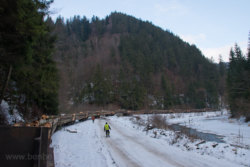 Freight train in the Vaser valley (Wassertal) photo