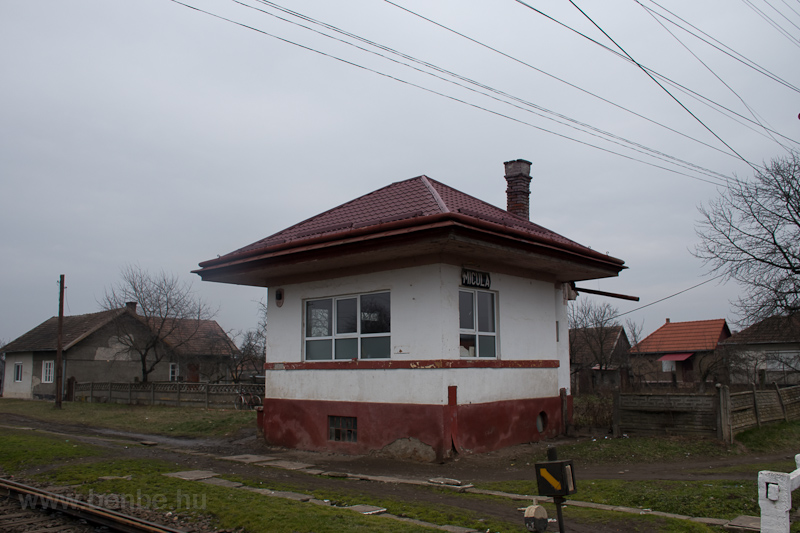 Micula fotó