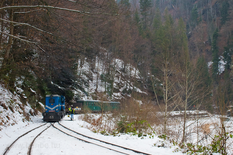 A CFF Viseu de Sus (Felsővisi Erdei Vast, Mocanita Viseu de Sus) 87-0032-0 Novicior megll-rakodhelyen fot