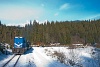A CFF Viseu / Felsővisói Erdei Vasút rakott tehervonata 87-0032-0 Faina megálló-rakodóhelyen