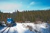 The loaded logging freight train of CFF Viseu de Sus with 87-0032-0 seen at Faina