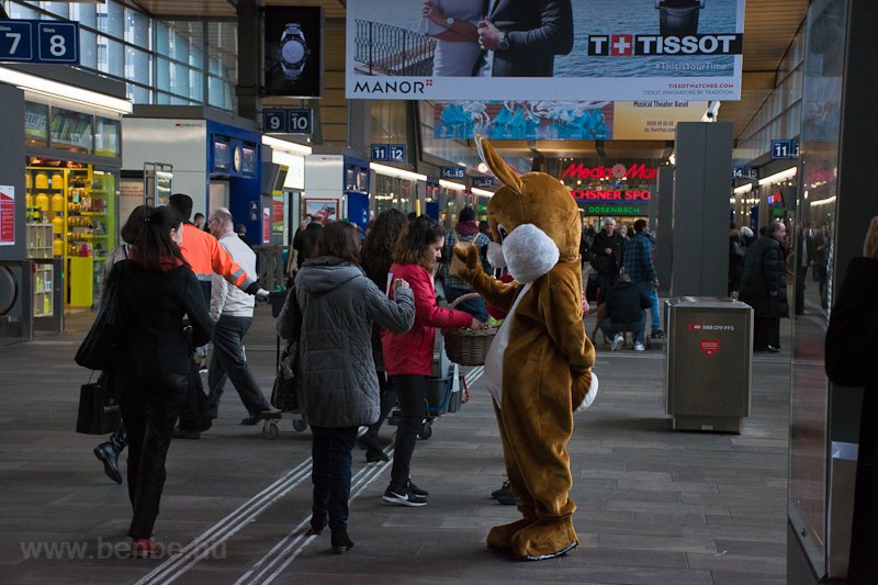 The hair of Easter at Basel photo