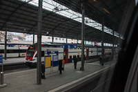 kép