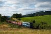A PKP Cargo ST44-1234 Nowa Ruda és Scinawka Srednia között