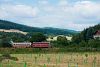 A ČD 705 913-2 Třzemesná ve Slezsku állomáson