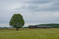 The PKP Ol49 59 seen between Tuchorza and Belecin Wielkopolski