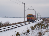 kép