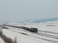 The SŽ 664 119 at Őrihodos (Hodoš, Slovenia)