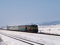 The SŽ 664 119 nicknamed Raegen at Hodoš with fast train Citadella