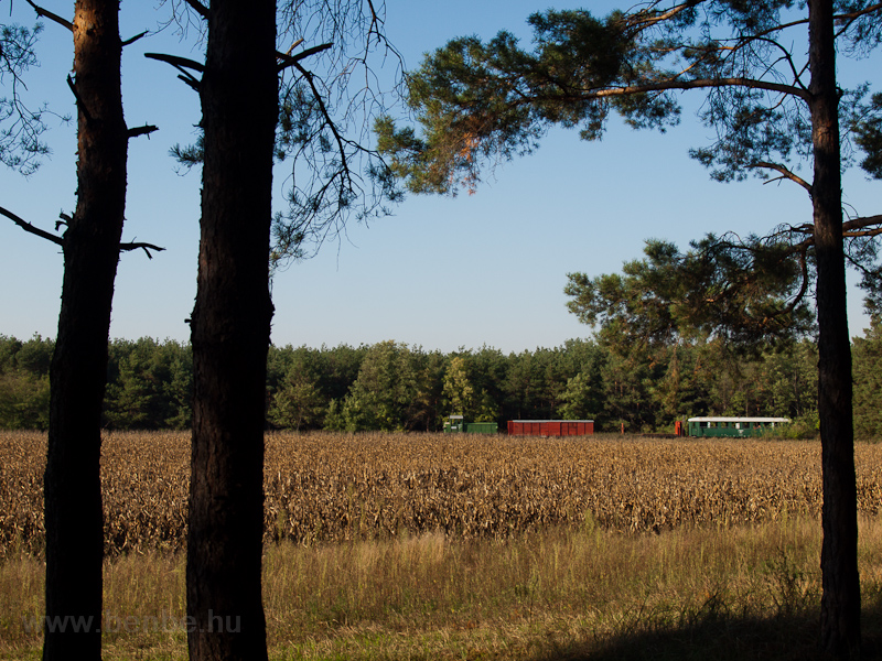 The Mk48,2002 is hauling a mixed passenger/freight train between Smsoni t logs loading area and Martinka stop photo