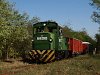 The Mk48,2002 is hauling a mixed passenger/freight train between Halperdő and Smsoni t