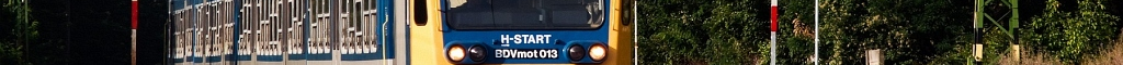 -----------------